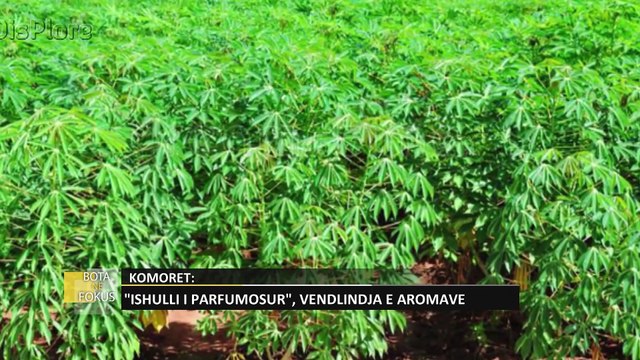 'Bota në fokus': Quhen ishujt e parfumosur - Komoret, ishujt piktoresk të Afrikës Lindore