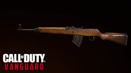 Vanguard : Quelle est la meilleure classe pour le G-43 ?