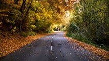 Enchanting Autumn Nature Scenes   Relaxing Piano Music for Stress Relief