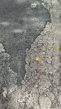 CSIF denuncia el lamentable estado de la carretera de acceso al Hospital de Los Morales