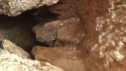 Son Dakika | Kaçak kazı yapan 3 kişi gözaltına alındı