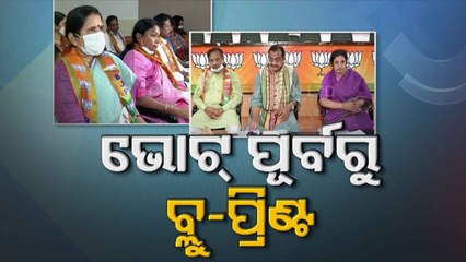 Odisha BJP Chalks Out Strategies To Take On Govt In Rural Polls