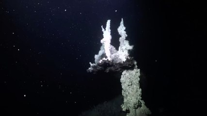 Au Mexique, des cheminées hydrothermales ont été observées dans les profondeurs
