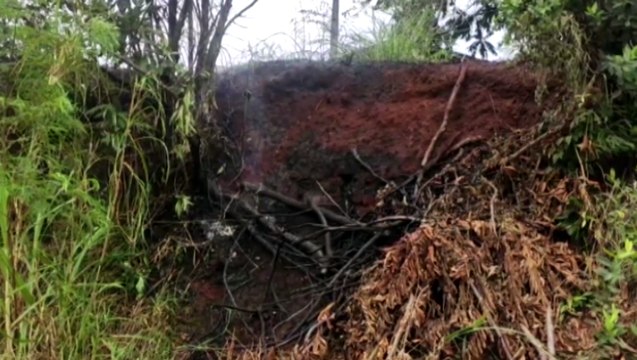 Chamas atingem área de vegetação na Região do Lago e Corpo de Bombeiros é mobilizado