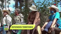 Pobladores de San Juan Atzingo vigilan los bosques ante la presencia de taladores clandestinos