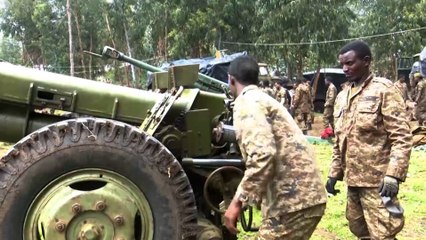 إثيوبيا.. المواجهات العسكرية تشتعل على جبهتين