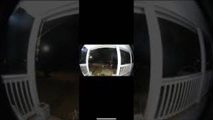 Flip Flop Fail Leads To Fall