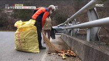 [INCIDENT] You can make money if you clean up the fallen leaves?, 생방송 오늘 아침 211124