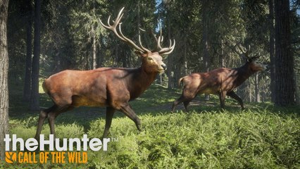 theHunter: Call of the Wild - Gameplay Tráiler