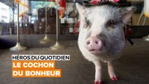 Héros du quotidien : Lilou le cochon