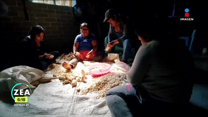 Jornaleros migran al norte del país; pobreza los obliga a dejar sus tierras