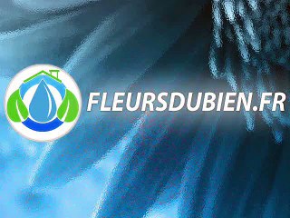 Test engrais vers-land - plants de piments