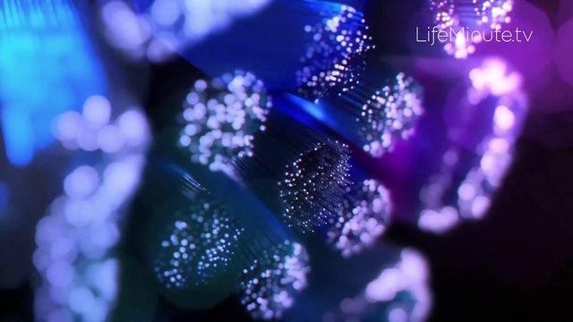 A Must-Have Holiday Gift to Smile About