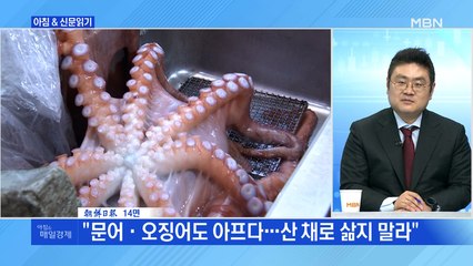 신문브리핑 4 ""문어·오징어도 아프다…산 채로 삶지 말라" " 외 주요기사