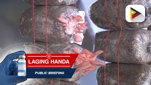 Tourism sites sa Tuba, Benguet, may mga bagong aktibidad sa pagbubukas ng turismo