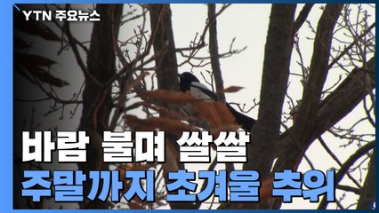 [날씨] 오늘도 초겨울 추위 계속...낮에도 바람 불며 '쌀쌀' / YTN