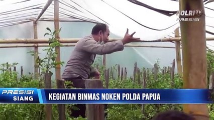 Satgas Humas Wilayah Mimika Lakukan Perbaikan Green House dan Perawatan Tanaman Cabai Papua