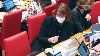 Commission des lois : Projet de loi relatif à la différenciation, la décentralisation, la déconcentration et portant diverses mesures de simplification de l’action publique locale (suite) - Mardi 23 novembre 2021