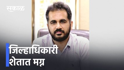 Satara ; पुढाऱ्यांसह सर्वचजण निवडणुकीत दंग, जिल्हाधिकारी शेतात मग्न ; पाहा व्हिडीओ