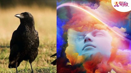 स्वप्नात कावळा दिसणे कसला संकेत असतो?