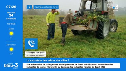 Un arbre sauvé par un Bigouden