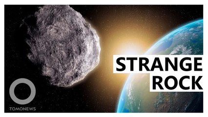 The Shocking Secret Behind Earth’s Strange Companion