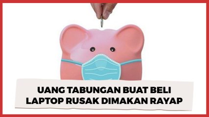 Sedihnya Bikin Nyesek! Uang Tabungan Buat Beli Laptop Rusak Dimakan Rayap