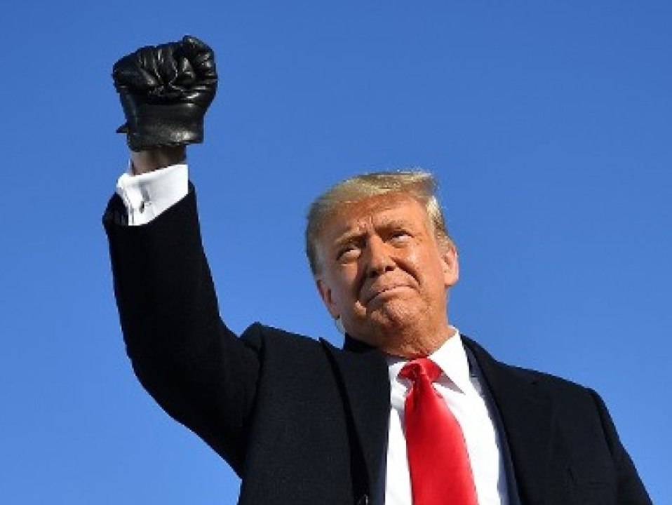 Donald Trump ist jetzt Taekwondo-Champion - auf dem Papier