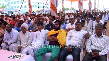 Strange fashion show for cows and bulls in Haryana - Only in India!