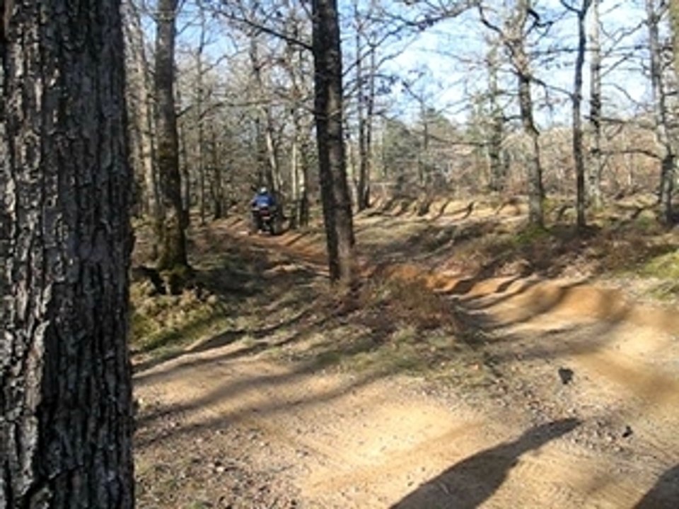 session quad 350 raptor