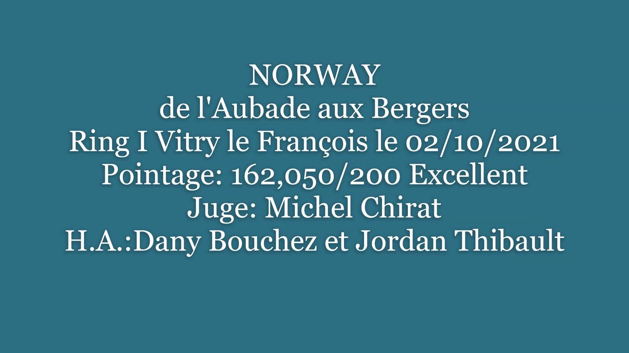 RING : Norway de l'Aubade aux Bergers   concoursde Vitry-le-François le 2 octobre 2021en échelon 1