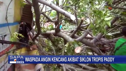 BMKG Sebut Angin Kencang di Wilayah Jabodetabek Terjadi Akibat Siklon Tropis Paddy