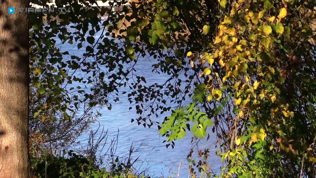 Pension und Restaurant Zur alten Werft – leckere Speisen und gemütliche Zimmer in Alsleben