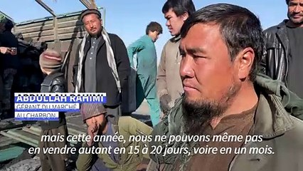 Afghanistan: le charbon, polluant incontournable dans le rude hiver du pays