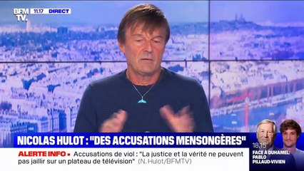 Accusations d'agressions sexuelles: Mis en cause, l’ex-ministre Nicolas Hulot annonce quitter "définitivement" la vie publique: "Je suis écoeuré" - VIDEO