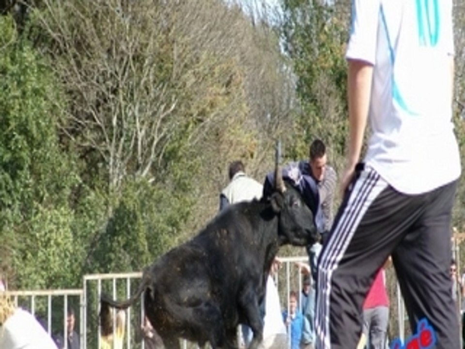 Encierro en photos st christol les alès 2.03.2008...
