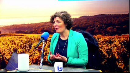 Jeanne Barseghian 5 - la culture et la langue alsaciennes