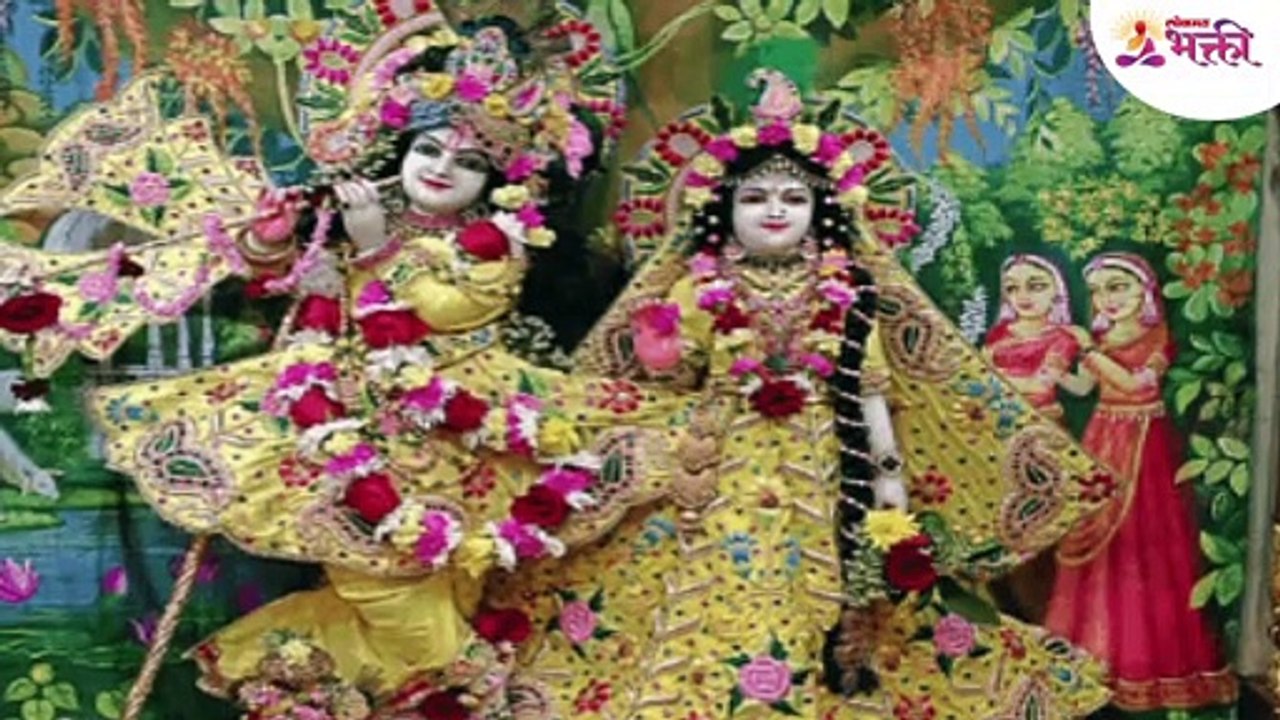 गुलाबाच्या रोपाचे शुभ अशुभ परिणाम