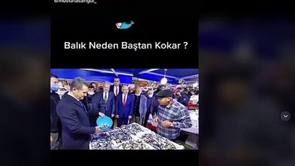 Mustafa Sarıgül, balığın neden baştan koktuğunu anlattı; "Neden baştan kokacak ayağı olmadığı için kokar"