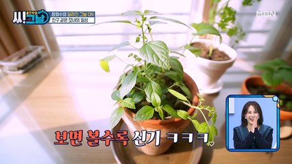 누가 이... 식물을 모르시나요? 여름 내내 화분에 버린 과일 씨의 반란