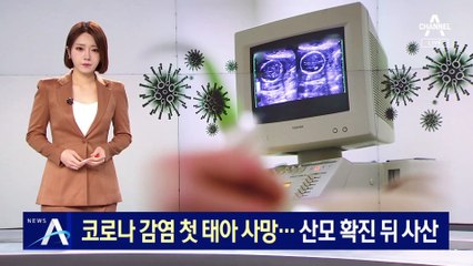 코로나 감염 첫 태아 사망…산모 확진 뒤 사산