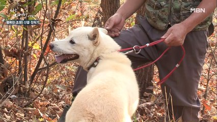 "너 그렇게 안 봤는데…" 순둥이의 또 다른 얼굴?! ♨카리스마 폭발♨