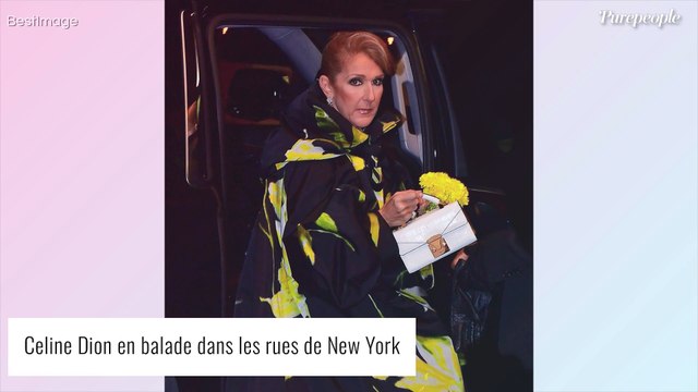 Elle se remet juste... : Céline Dion, au repos, son frère donne des nouvelles de sa santé