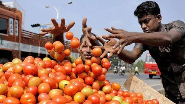 What do shopkeepers say over tomato price hike?