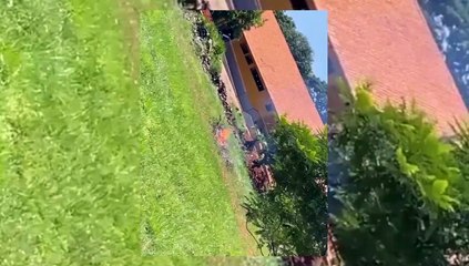 Mulher reclama de queimadas que são registradas semanalmente em terreno no Pacaembu