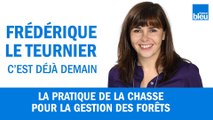 Les relations entre la pratique de la chasse et la gestion des forêts