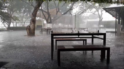 Heavy rain in November (The Rain Sounds - November Rain)