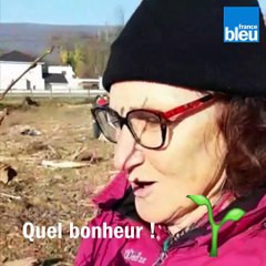 Journée spéciale forêts : plantation d'arbres en forêt de Thise