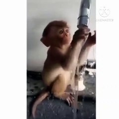 Menki Fanny video very nice moment.