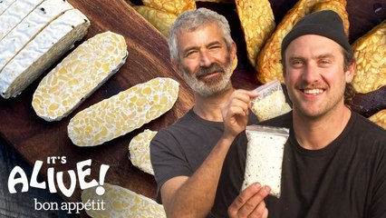 Brad Builds A Fermentation Chamber & Makes Tempeh (ft. Sandor Katz)
